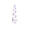 Swirl paars met dubbele spiraal